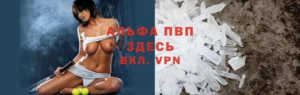 a pvp Алзамай