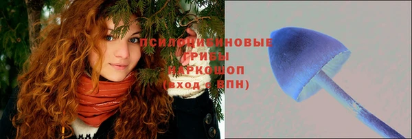 a pvp Алзамай
