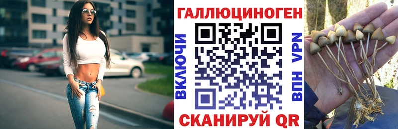 Псилоцибиновые грибы GOLDEN TEACHER  Нарьян-Мар 